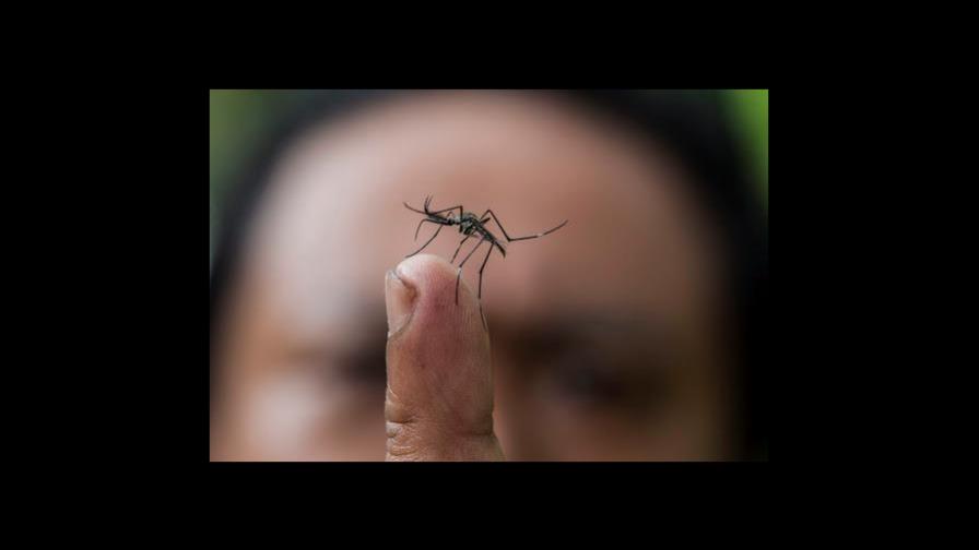 Aumentan a 21 los casos locales de dengue en los Cayos de Florida