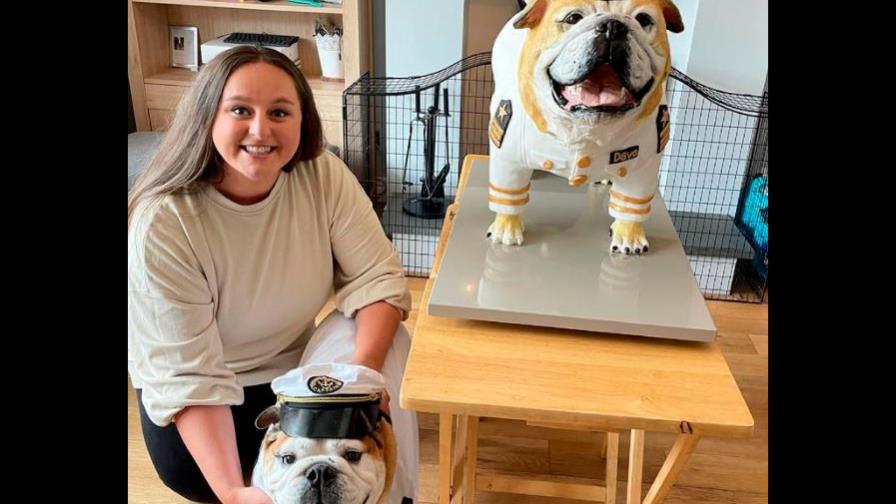 Una pareja gastó más de cuatro mil dólares en el cumpleaños de su bulldog