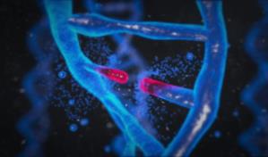 ¿Qué es la mutación de un virus?