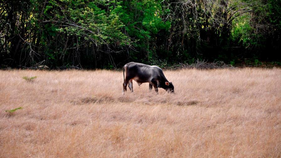 Gobierno busca solución a la escasez de agua en la Línea Noroeste  
