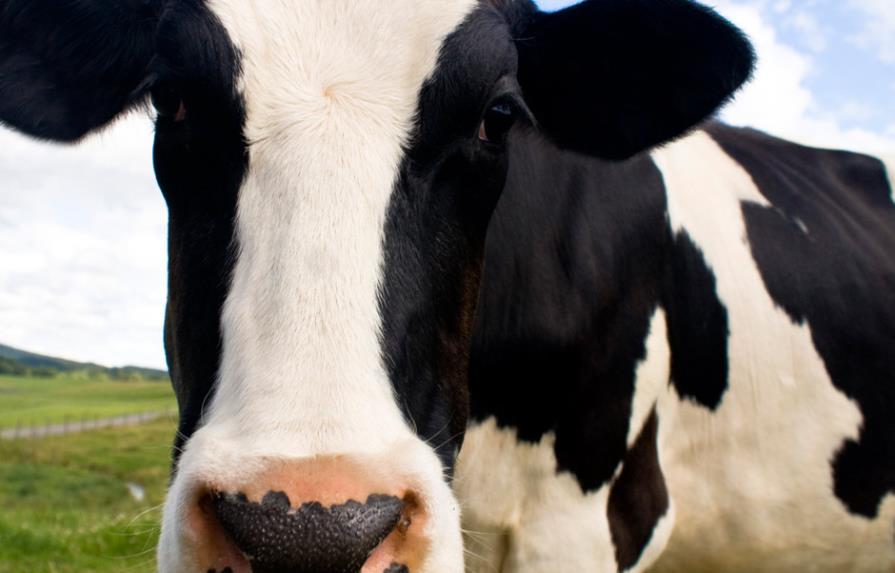 Brasil suspende exportaciones de carne a China por “vaca loca”