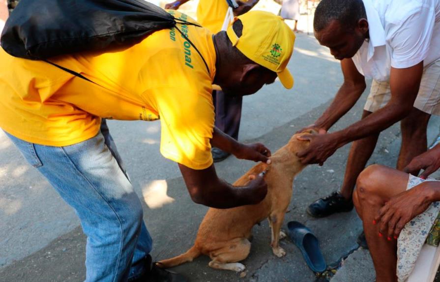 Empieza en Haití campaña de vacunación de perros para eliminar rabia