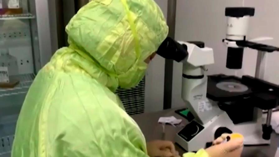 Prueban vacuna contra el COVID-19 en humanos tras su éxito en monos Prueban vacuna contra el COVID-19 en humanos tras su éxito en monos