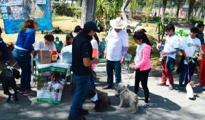 OMS declara a México primer país libre de rabia humana contagiada por perro