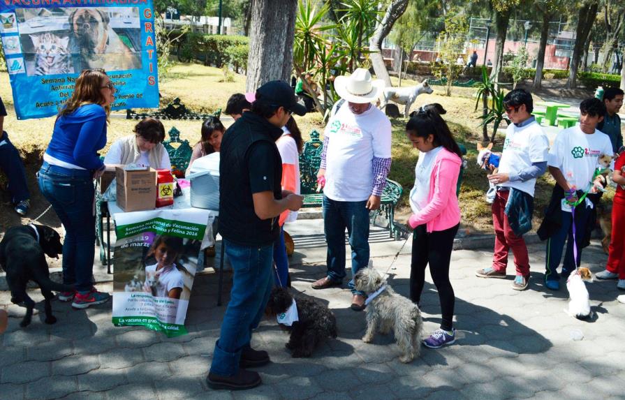 OMS declara a México primer país libre de rabia humana contagiada por perro