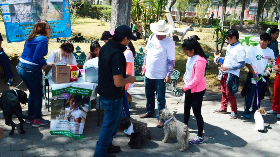 OMS declara a México primer país libre de rabia humana contagiada por perro