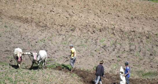 TSA ordena a Medio Ambiente desalojar a agricultores de Valle Nuevo 