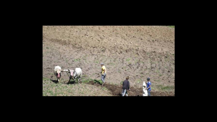 TSA ordena a Medio Ambiente desalojar a agricultores de Valle Nuevo 