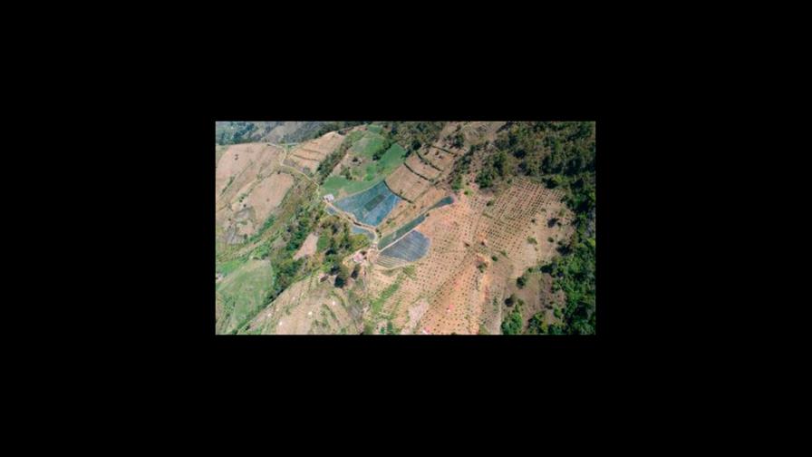 Proteger los parques nacionales es fundamental para frenar efectos del cambio climático