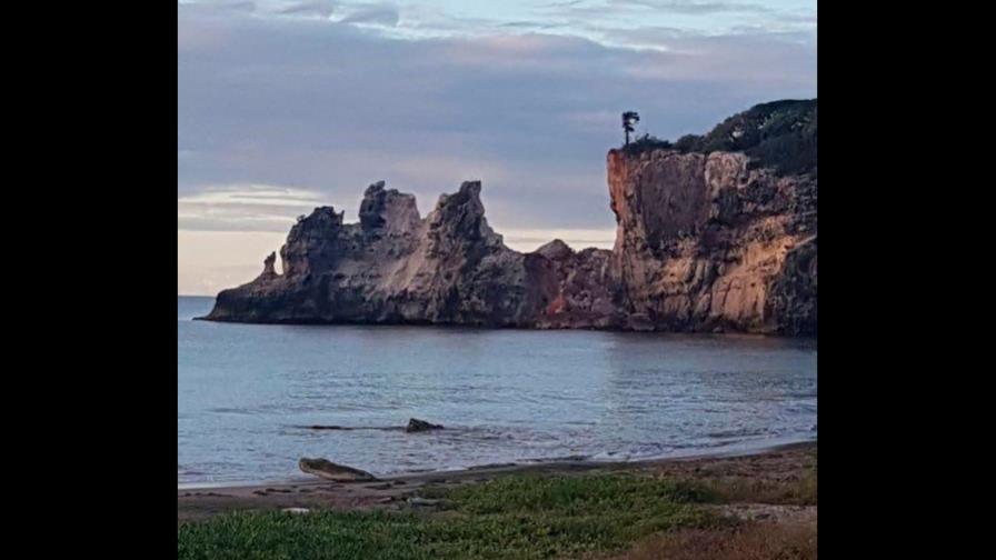 Sismo en Puerto Rico derrumba emblemática ‘Ventana del Caribe’