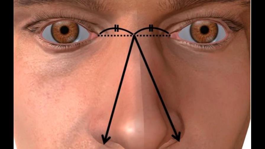 El tamaño de la nariz es proporcional tamaño del pene, según estudio de universidad japonesa