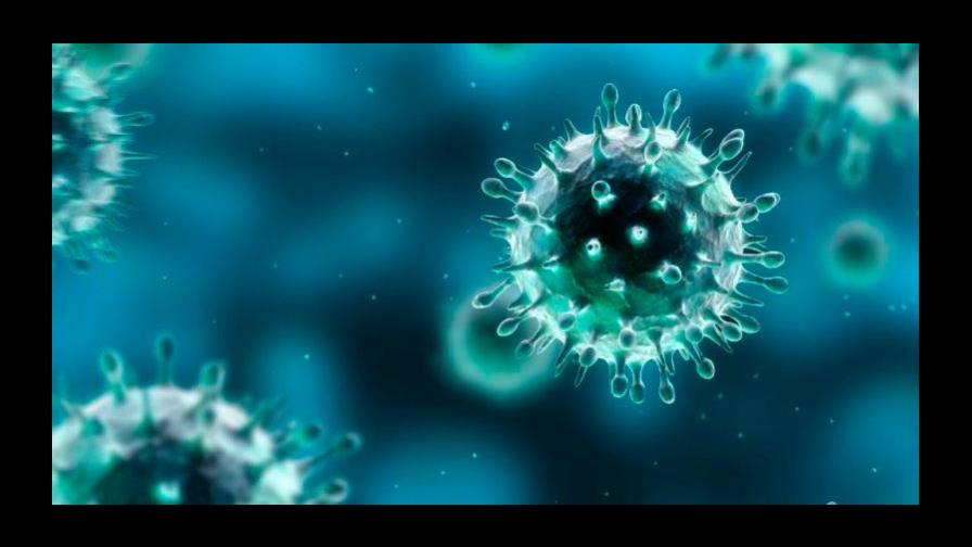 Centro alemán descubre cientos de nuevos virus transmitidos por insectos