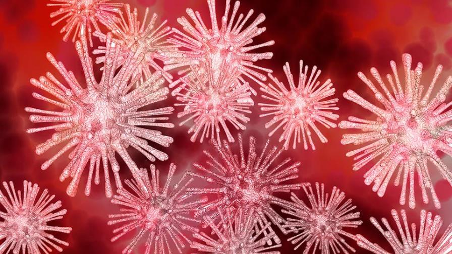 Descubren en Brasil el Yaravirus, un misterioso virus inocuo para humanos