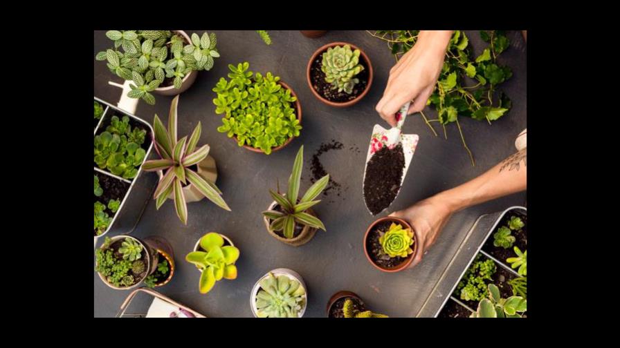 Trucos para un jardín o huerto nítido Trucos para un jardín o huerto nítido