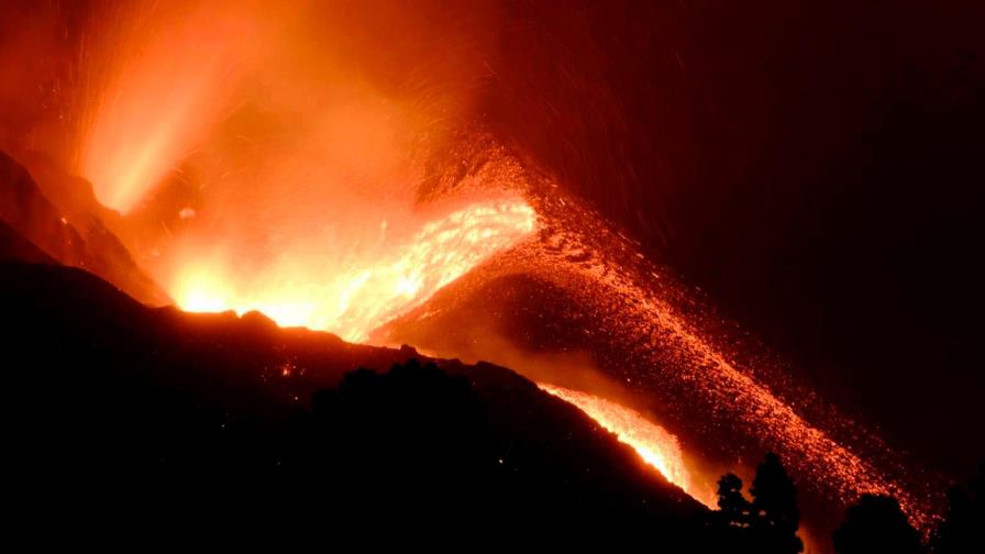 Los animales se acostumbran a convivir con el volcán, según un biólogo