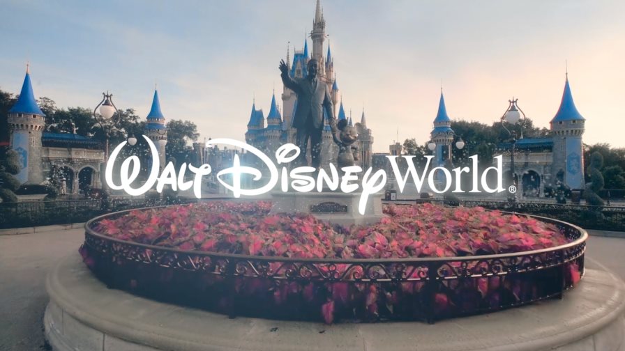 Walt Disney World Resort desvela logotipo de la matrícula de autos en Florida