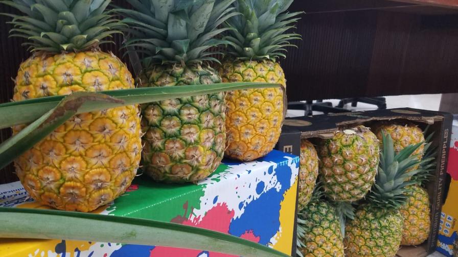 Anuncian la séptima feria nacional de la Piña en Cevicos 