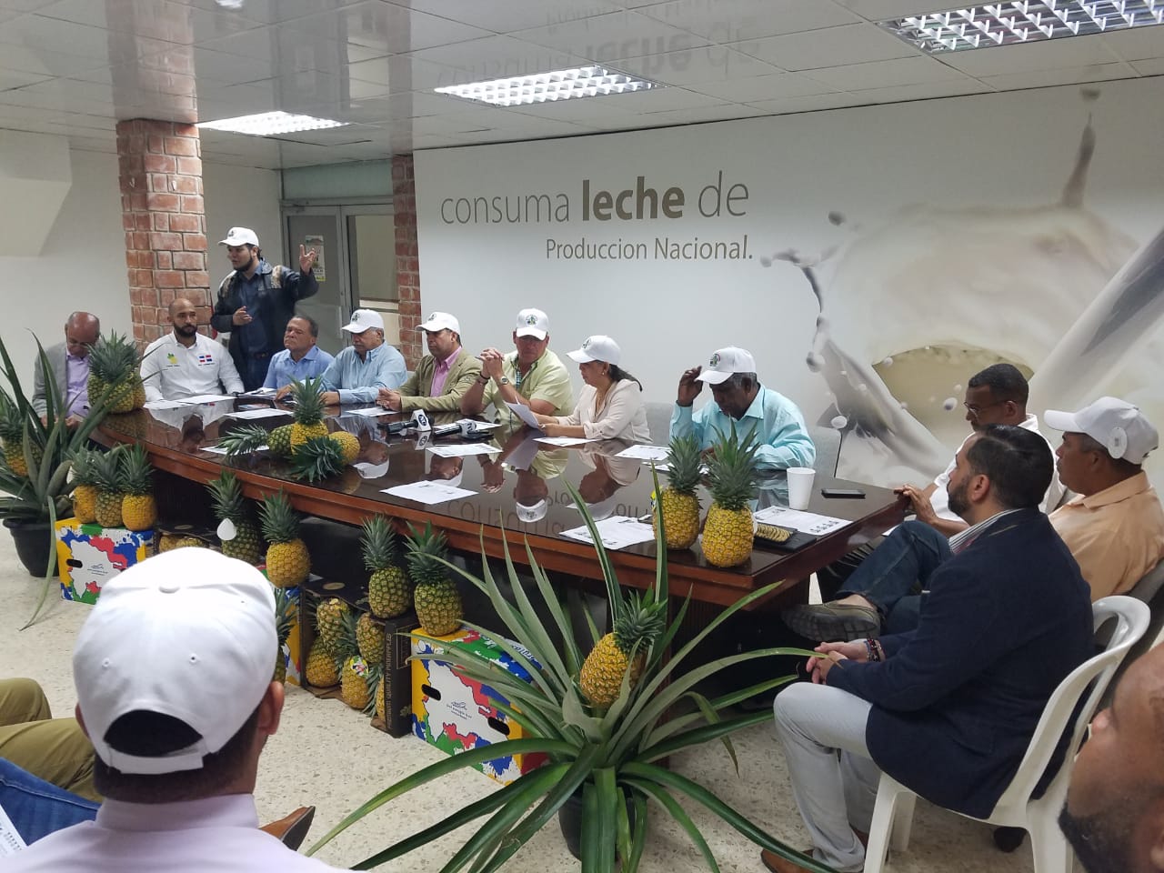 Productores de piñas reunidos en Confenagro/Aproleche, Feria Ganadera.