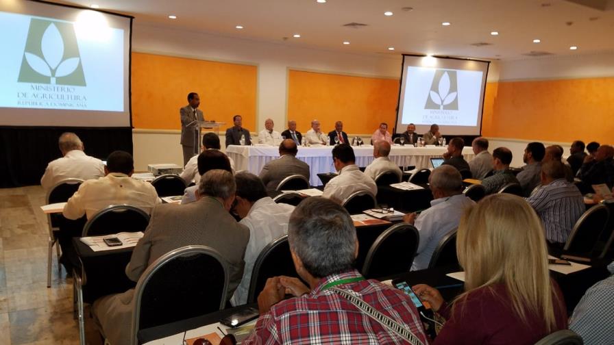 Contrabando de semillas afecta productores y empresarios dominicanos  