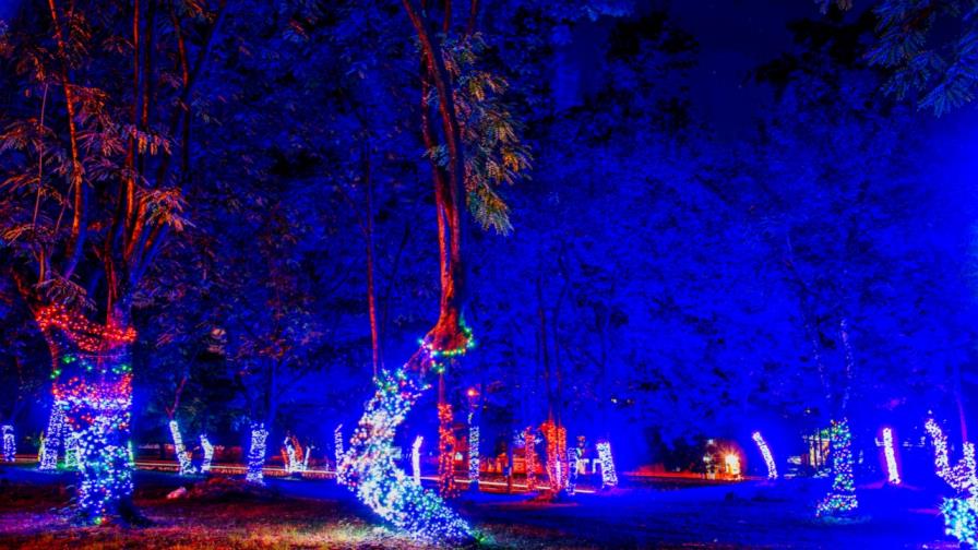 El colorido de Navidad llena de encanto las calles de la Zona Oriental 