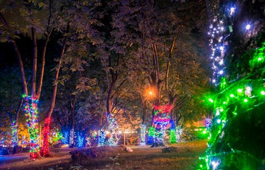 "In the city": encender las luces navideñas desde ya