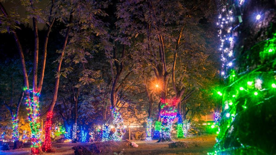 "In the city": encender las luces navideñas desde ya "In the city": encender las luces navideñas desde ya