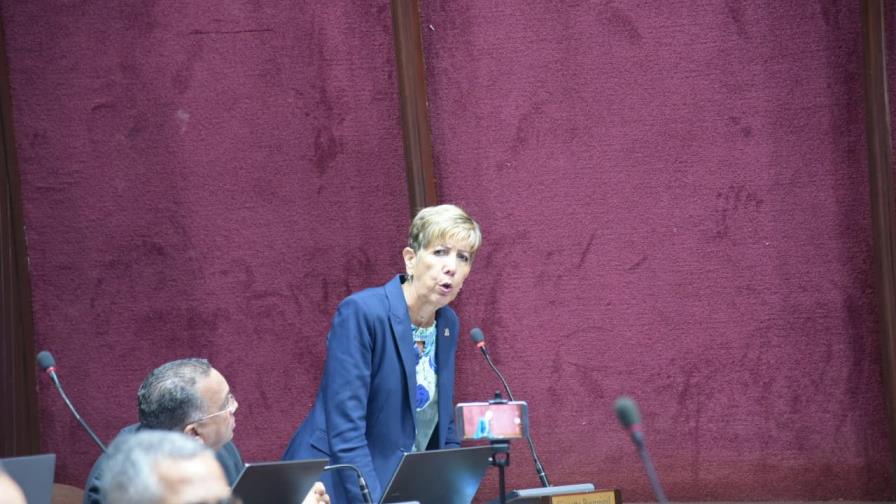 La oposición ataca proyecto de presupuesto para el 2019 durante debates entre diputados 