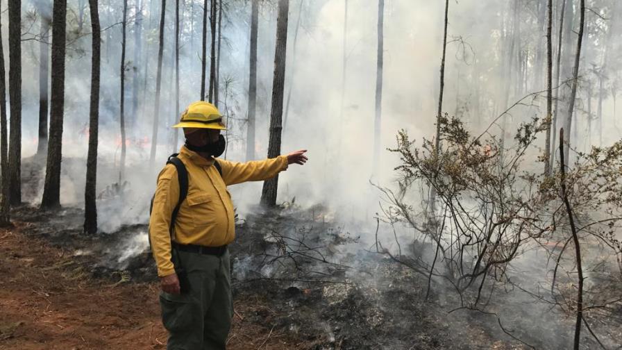 Esperan controlar esta tarde el incendio en Bahoruco 