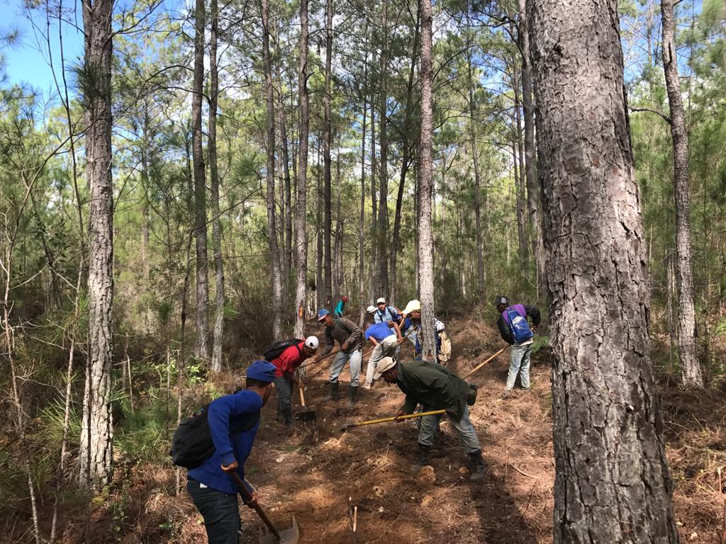 Brigadas contra incendio en labores en Bahoruco. 