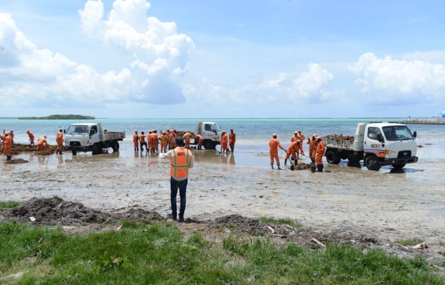 Empiezan a limpiar el sargazo en playa de Boca Chica  