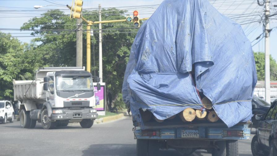 Sigue tala árboles en San José de las Matas a pesar de prohibiciones Sigue tala árboles en San José de las Matas a pesar de prohibiciones
