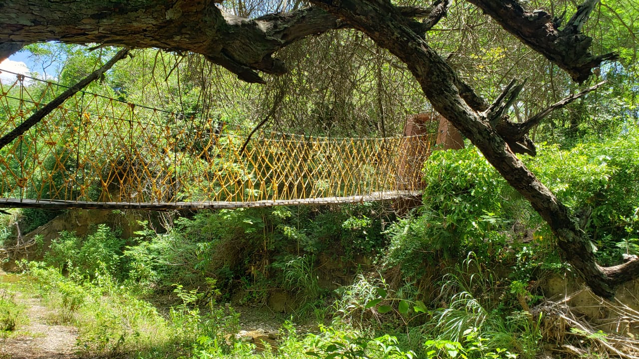 Puente colgante sobre el río Jacagua.
