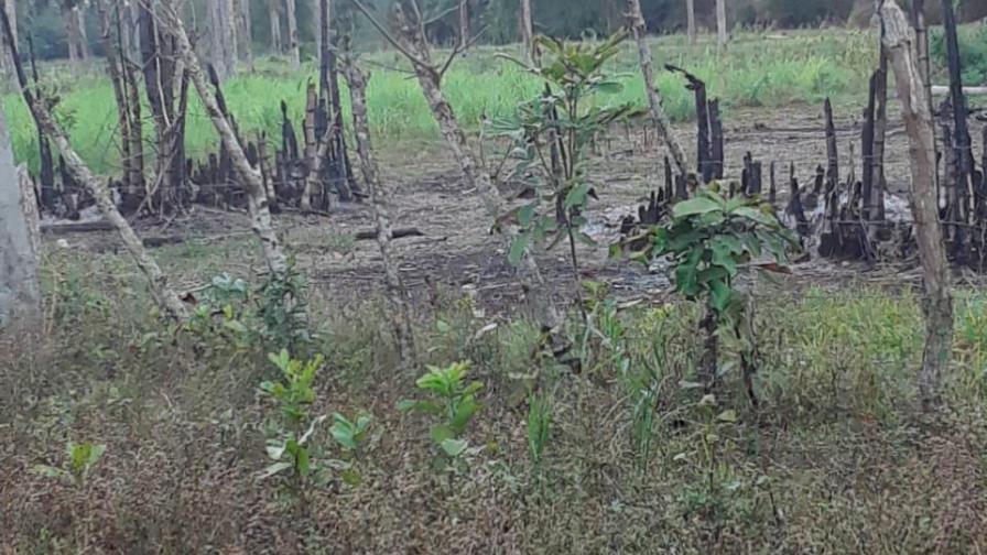 Denuncian invasión de terrenos en Monte Plata Denuncian invasión de terrenos en Monte Plata