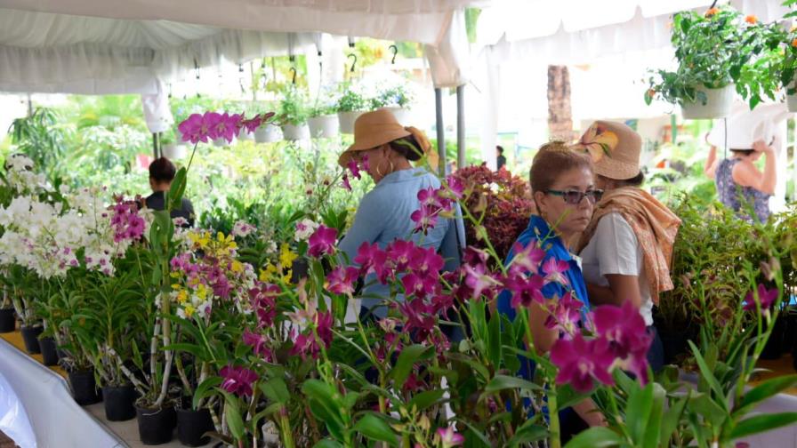 Jardín Botánico inicia Festival Nacional de Plantas y Flores