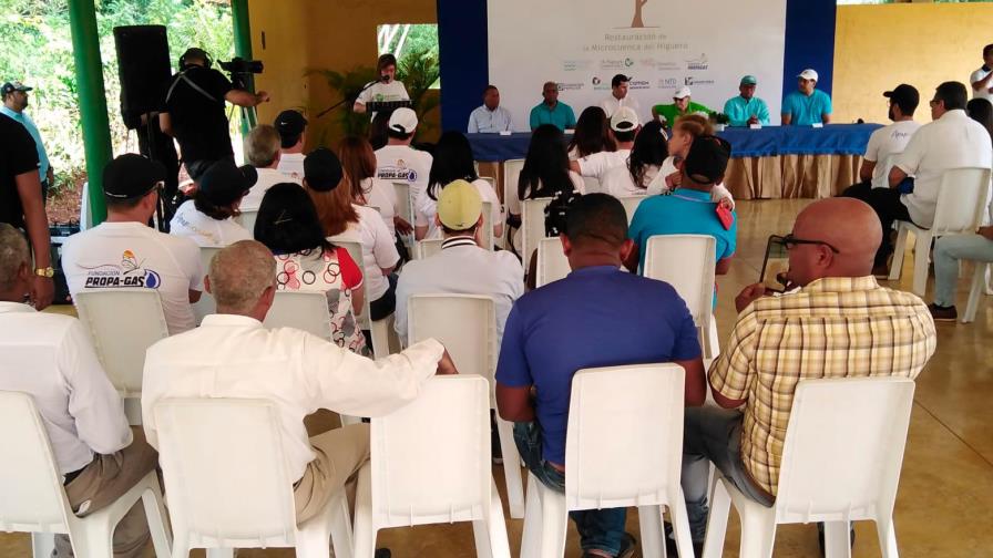 Reforestan microcuenca del río Higüero con 7mil plantas Reforestan microcuenca del río Higüero con 7mil plantas