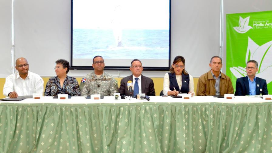 Instituciones dan inicio a temporada de observación de ballenas jorobadas 2020