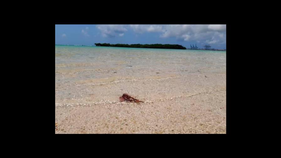 Caída en la llegada de turistas en el primer semestre fue de 60 %