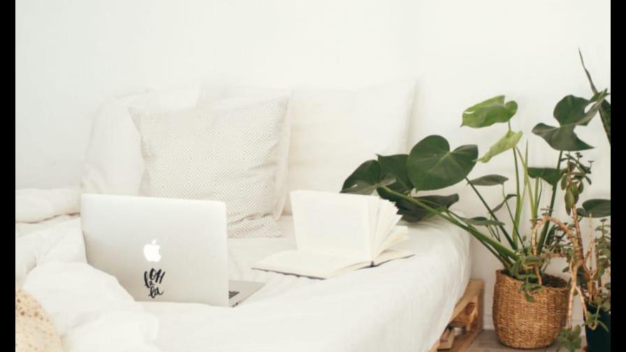 3 pasos para ser ecoamigable mientras te quedas en casa