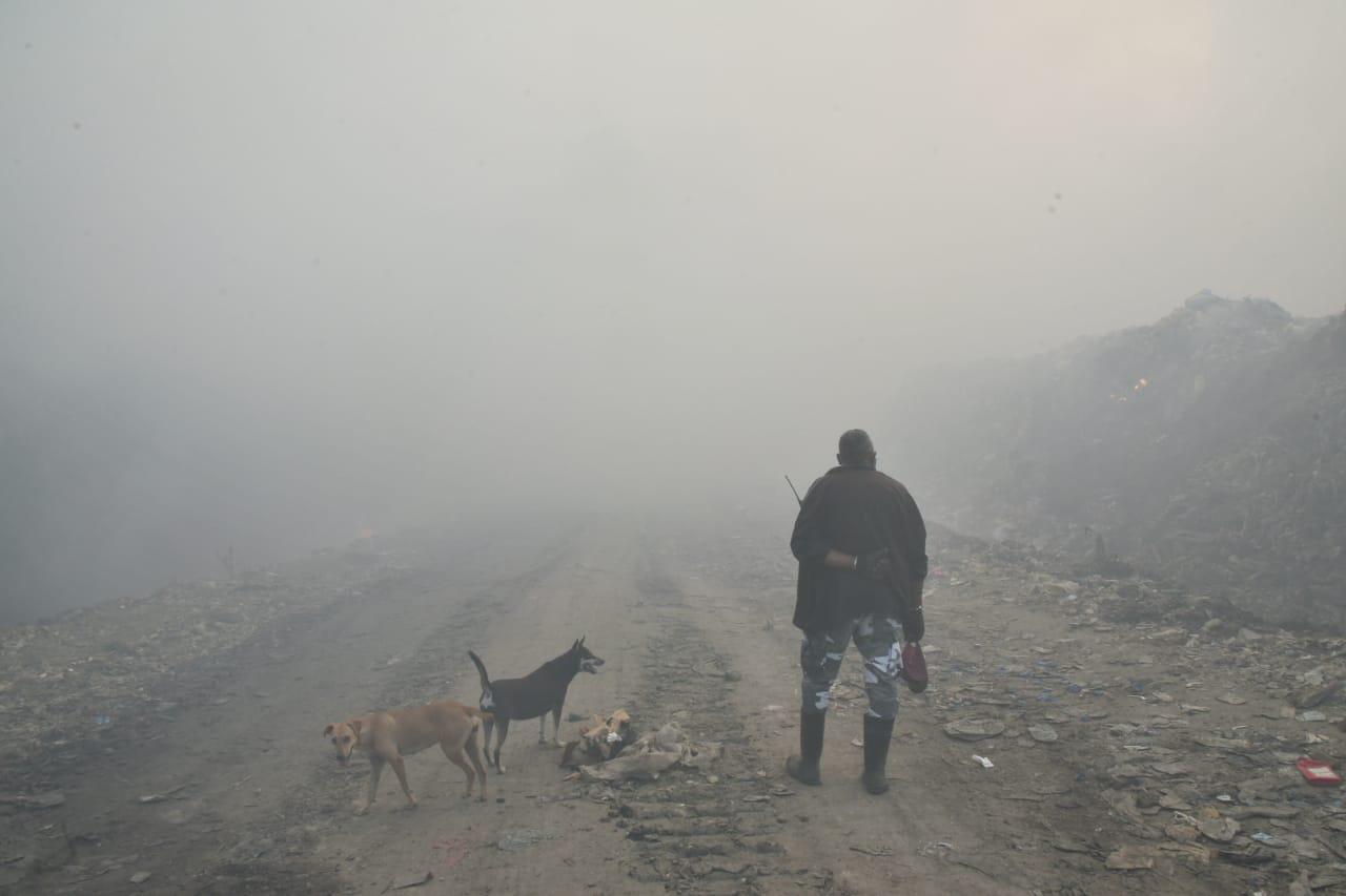 Dos perros y hombre en el vertedero de Duquesa este viernes 1 de mayor de 2020. (DIARIO LIBRE/JUAN MIGUEL PEÑA)