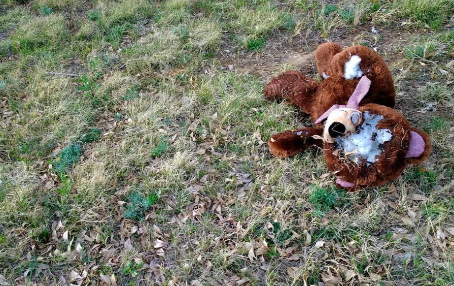 Un bebé fue hallado muerto y mordido por perros en un botadero en Bolivia