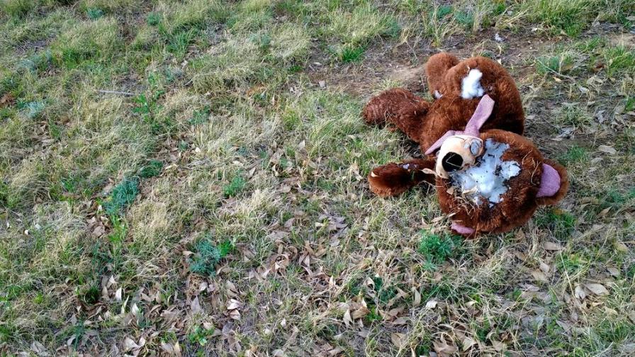 Un bebé fue hallado muerto y mordido por perros en un botadero en Bolivia