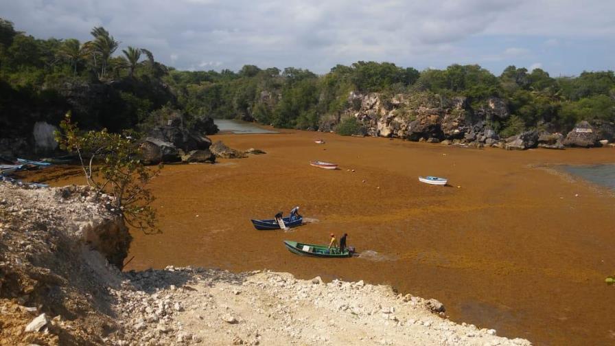 Sargazo impide residentes de La Playita se abastezcan de productos de primera necesidad