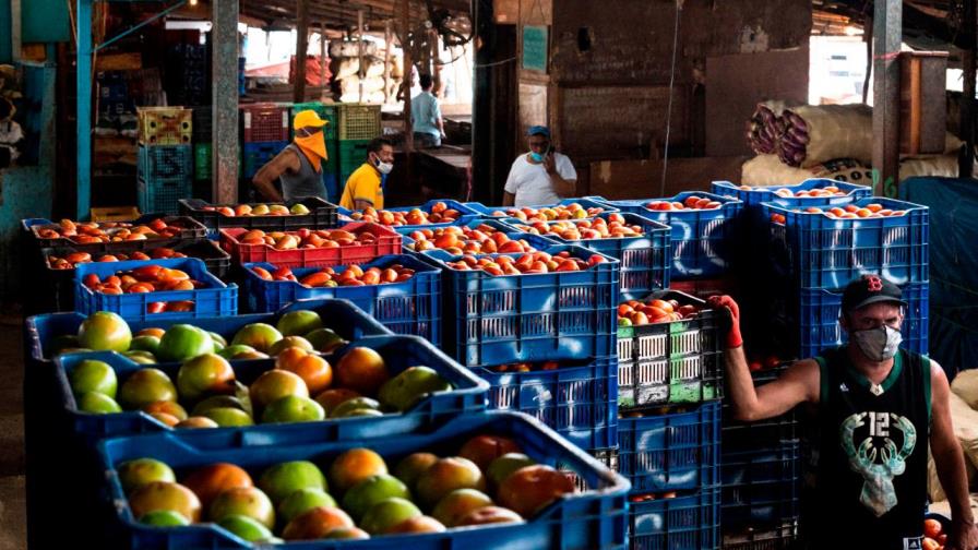 OPS advierte reabrir economías “demasiado rápido” puede causar rebrote de covid-19 OPS advierte reabrir economías “demasiado rápido” puede causar rebrote de covid-19