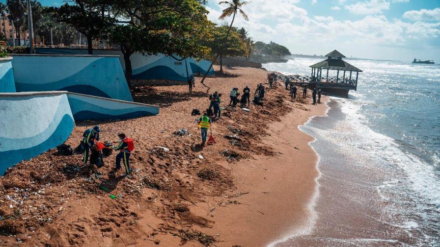 ADN realiza jornada por el Día Mundial del Medio Ambiente