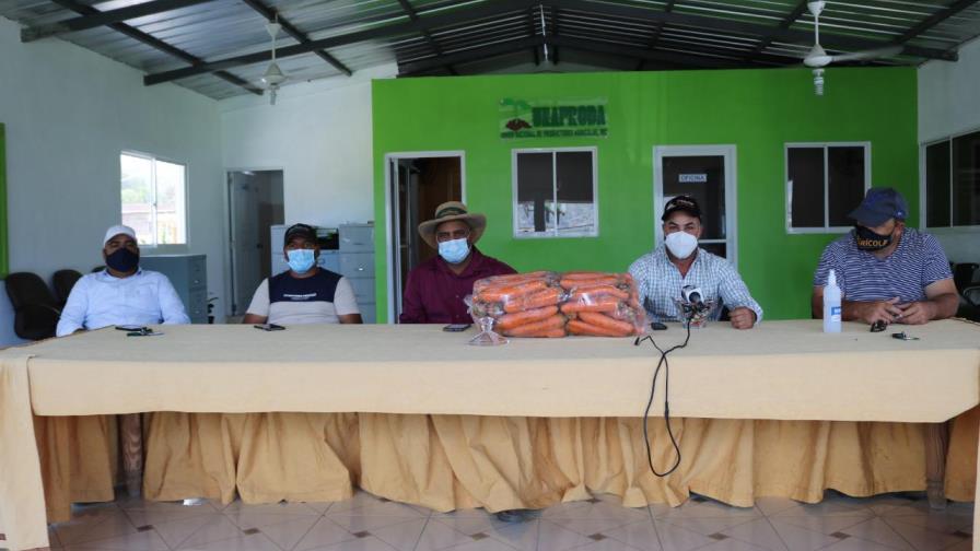 Califican de inoportuno autorizar importación de zanahorias Califican de inoportuno autorizar importación de zanahorias