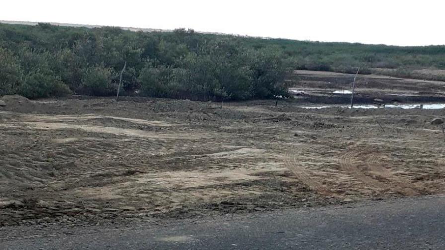 Están cortando manglares en Montecristi