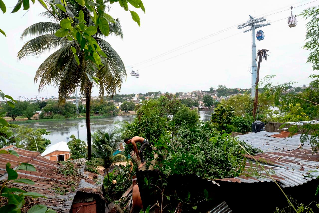 Viviendas afectas por la caída de árboles tras el paso de la tormenta Laura.