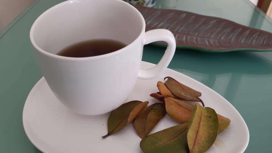 Dale los buenos días a tu cuerpo con los beneficios del bay-rum