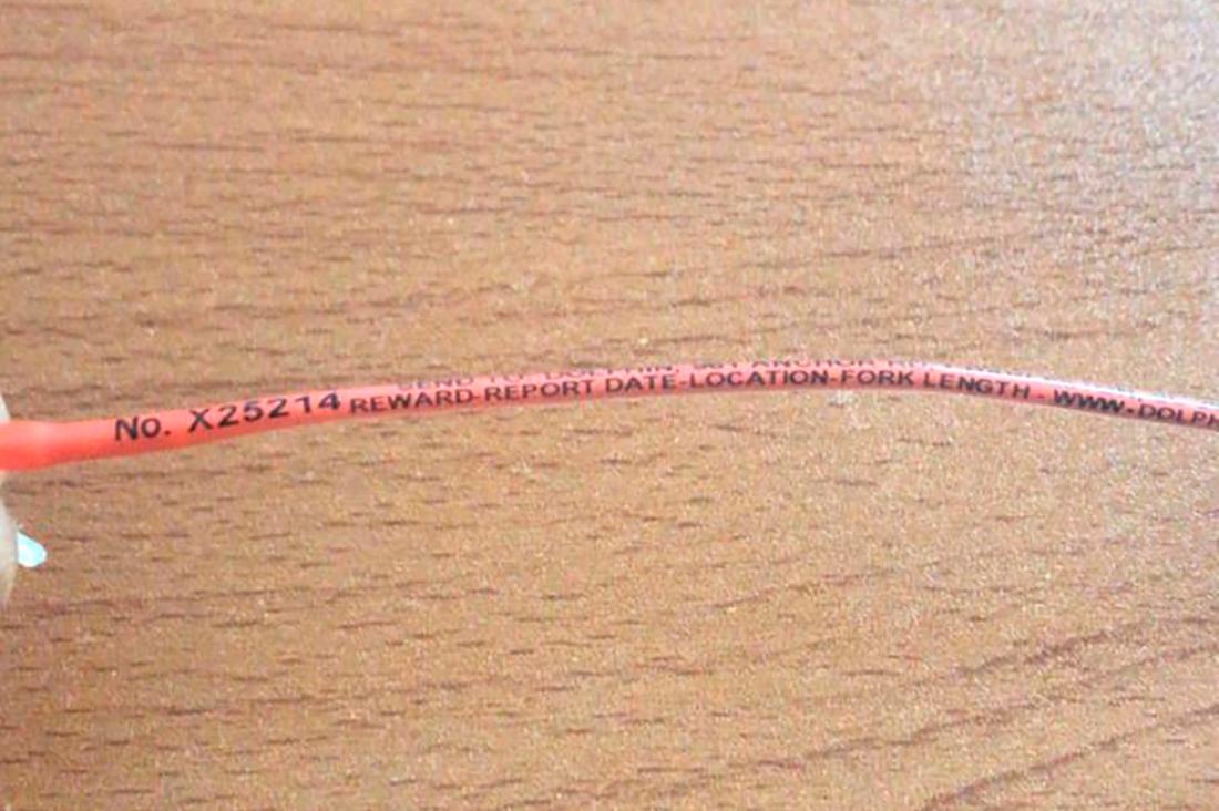 La etiqueta recuperada por pescadores locales.