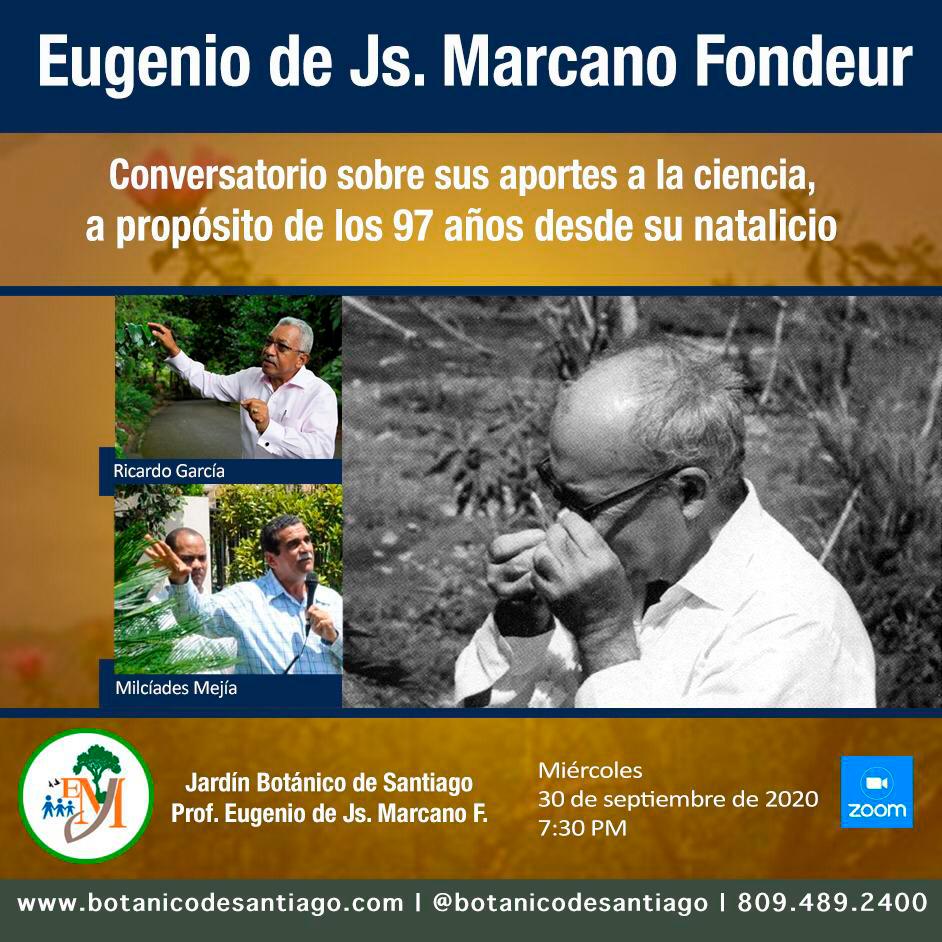 Infografía